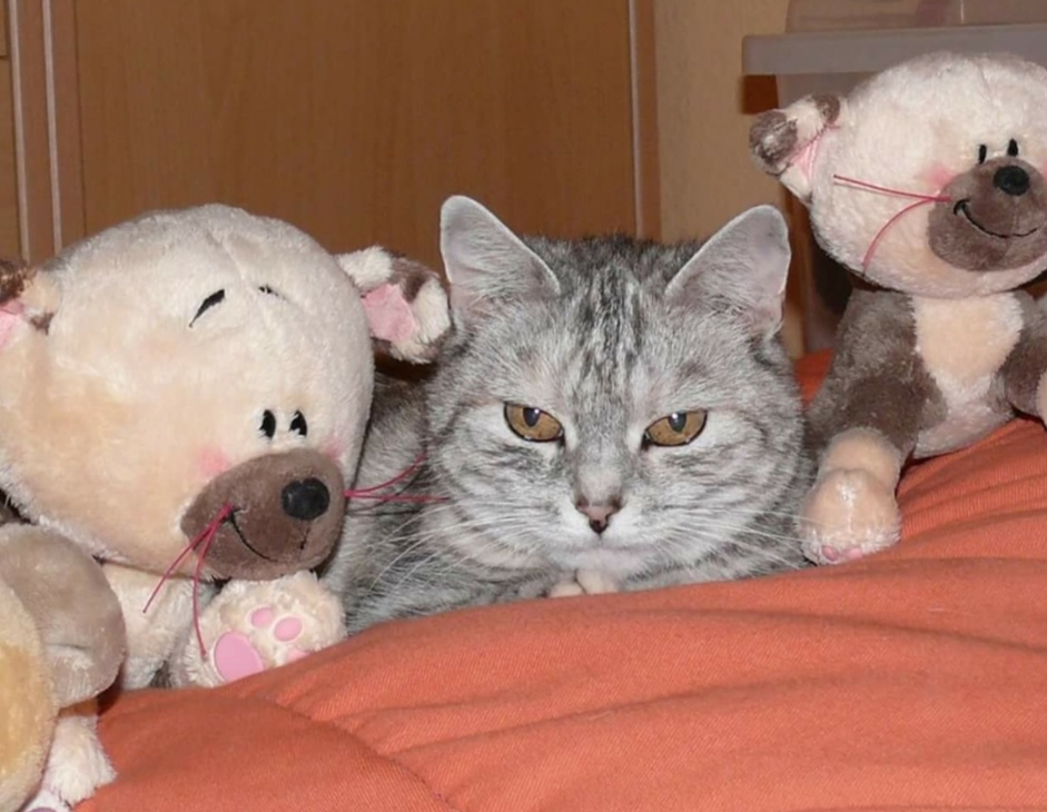 Foto
