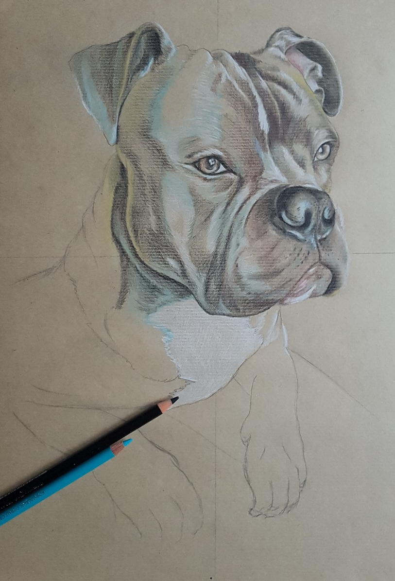 Phase 2